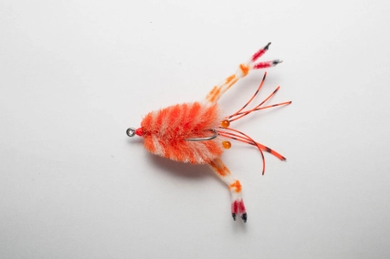 Niels' crab fly Niels' crab fly