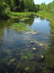 Crystal clear Crystal clear