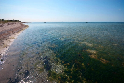 Lush and productive Lush and productive