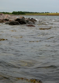 Onshore wind Onshore wind