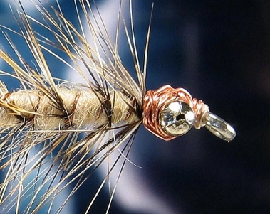 Copper head Copper head