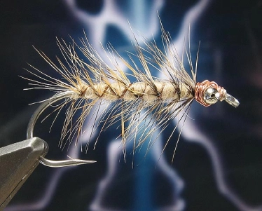 Danish Pastry Fly Danish Pastry Fly