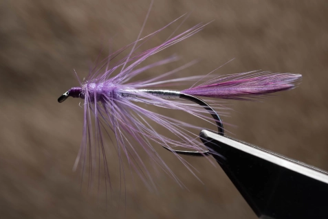 Purple Big Hole Demon Purple Big Hole Demon