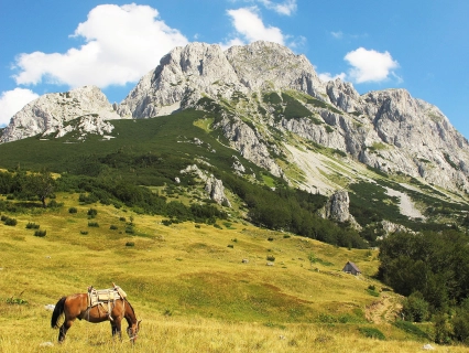 Montenegrian landscape Montenegrian landscape