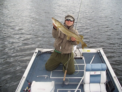 Rear platform Rear platform