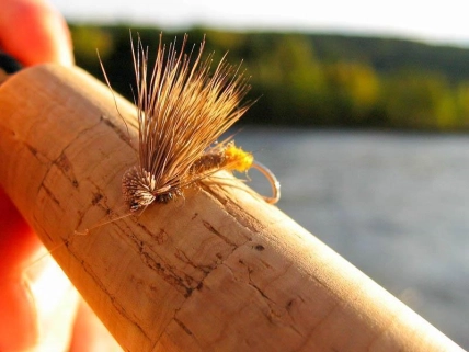 Elkjaer Caddis by Klarelven Elkjaer Caddis by Klarelven