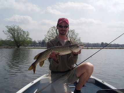 Summer pike Summer pike
