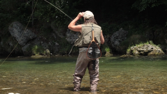 Spotting fish Spotting fish