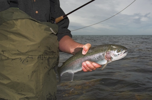 Small rainbow Small rainbow