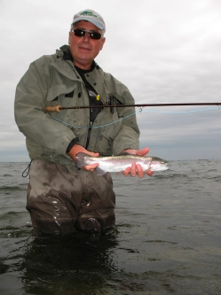 Another small rainbow Another small rainbow