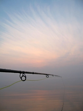 Pastel colors Pastel colors