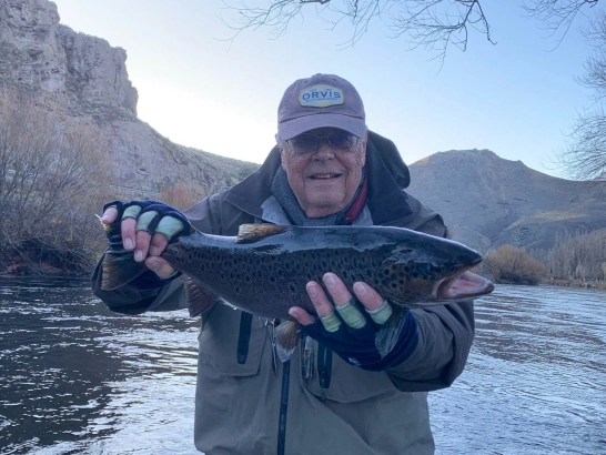 Limay Brown Limay Brown