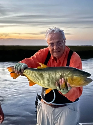 Last cast Dorado Last cast Dorado