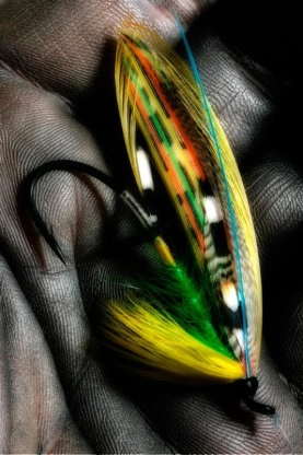 Green Highlander Green Highlander