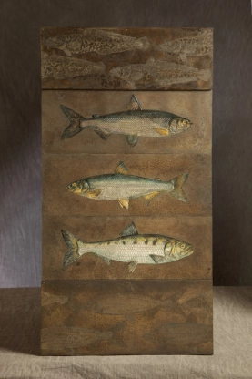 Memento Mori (A study of fish becoming extinct in my lifetime) Memento Mori (A study of fish becoming extinct in my lifetime)