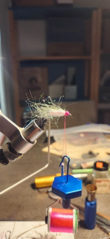 Dubbed fly Dubbed fly