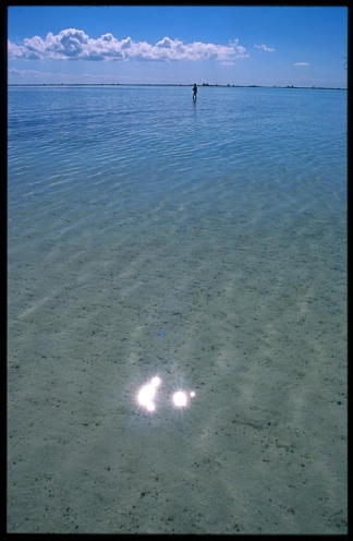 Shallow ocean Shallow ocean