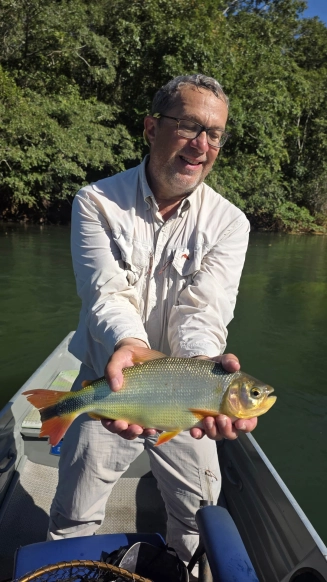 Piraputanga Piraputanga