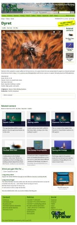 Number 9999 Number 9999