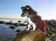 First fishing trip ever First fishing trip ever