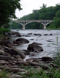 Fishing in New York Gallery Fishing in New York Gallery