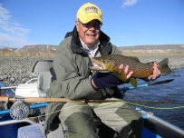 Young brown trout Young brown trout