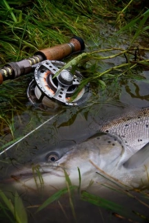 16 lbs sea trout 16 lbs sea trout