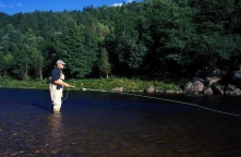 Salmon fishing Salmon fishing