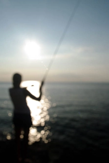 Sunny, dreamy Sunny, dreamy