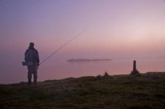 Early morning mist Early morning mist