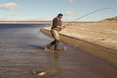 Beach walking Beach walking