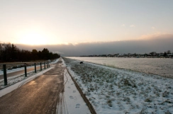 Winter 2012 Winter 2012