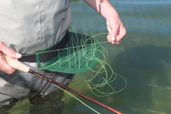 An alternative An alternative