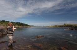 Mullet fishing in Ireland Mullet fishing in Ireland