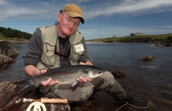 Mullet from the Irish coast Mullet from the Irish coast