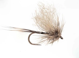 Hare's Paw Mayfly Dun Hare's Paw Mayfly Dun