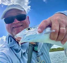 The author The author