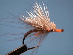 Kicking CDC & Elk Kicking CDC & Elk