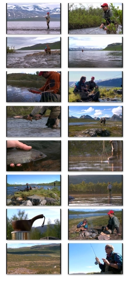 Stills from the video Swedish Lapland Stills from the video Swedish Lapland