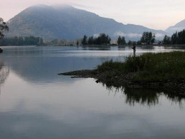 Reflections Reflections