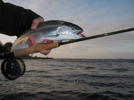 One of those days One of those days