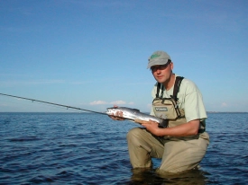 Oresund sea trout Oresund sea trout