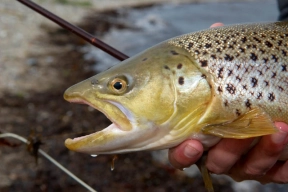 Hard to complain Hard to complain