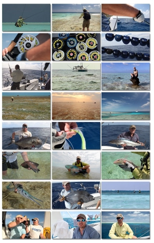 Uncharted Waters Uncharted Waters