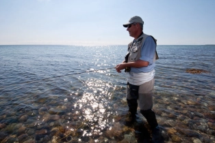 Rolled-up sleeves Rolled-up sleeves