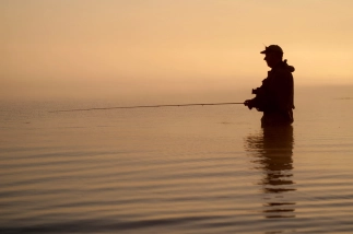 Low sun profile Low sun profile