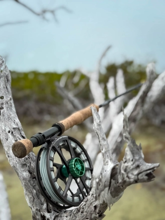 Gear for bones Gear for bones