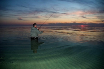 Magic hour Magic hour