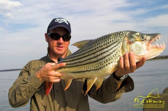 The reason for visiting the lower Zambezi. The reason for visiting the lower Zambezi.