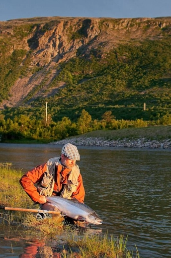 Nice salmon, nice backdrop Nice salmon, nice backdrop